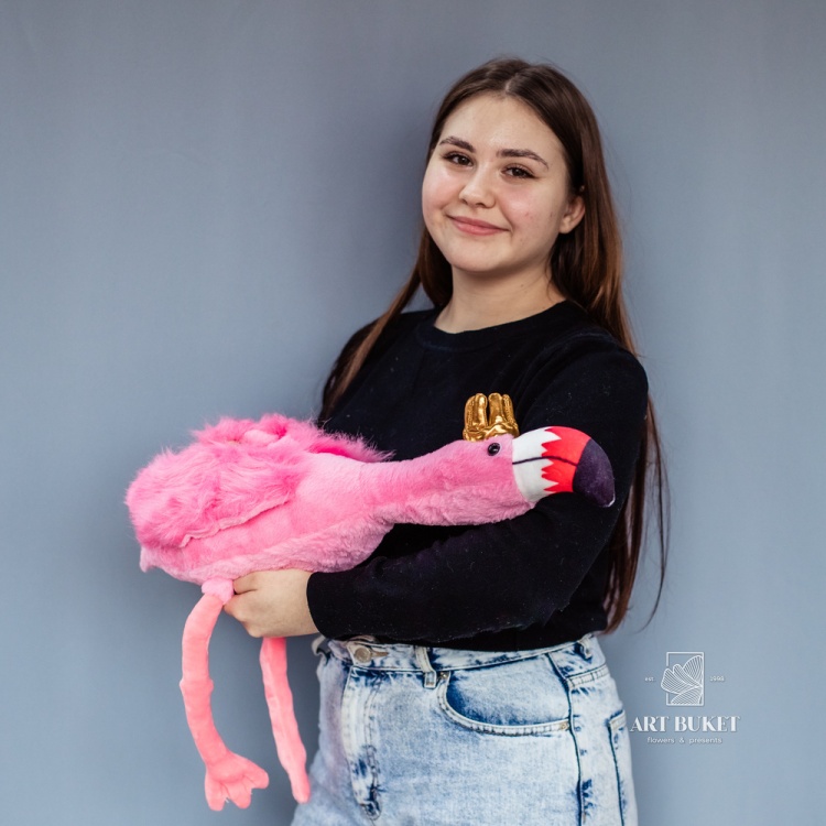 Фламинго с короной