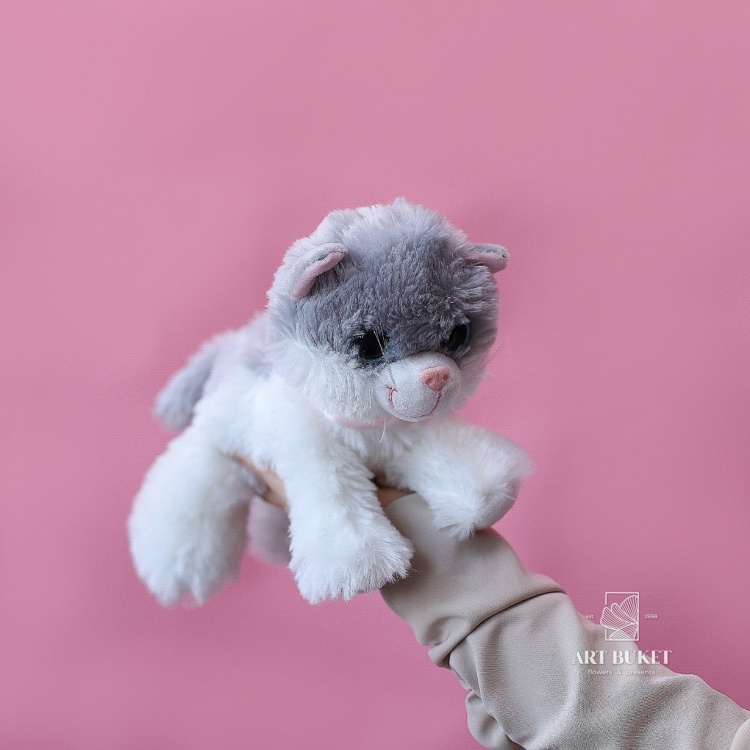 Кошка глазастая музыкальная большая