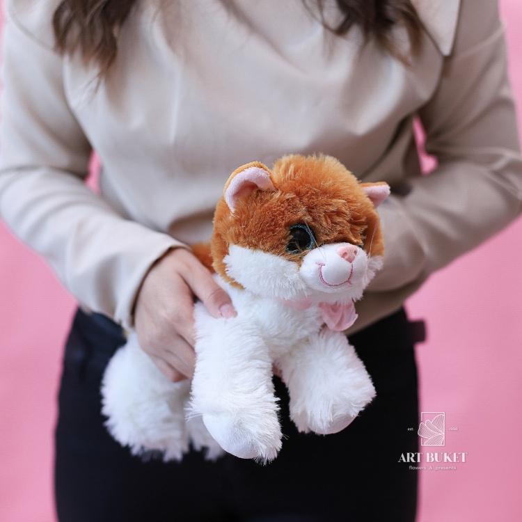 Кошка глазастая музыкальная большая