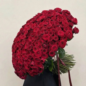 301 красная роза