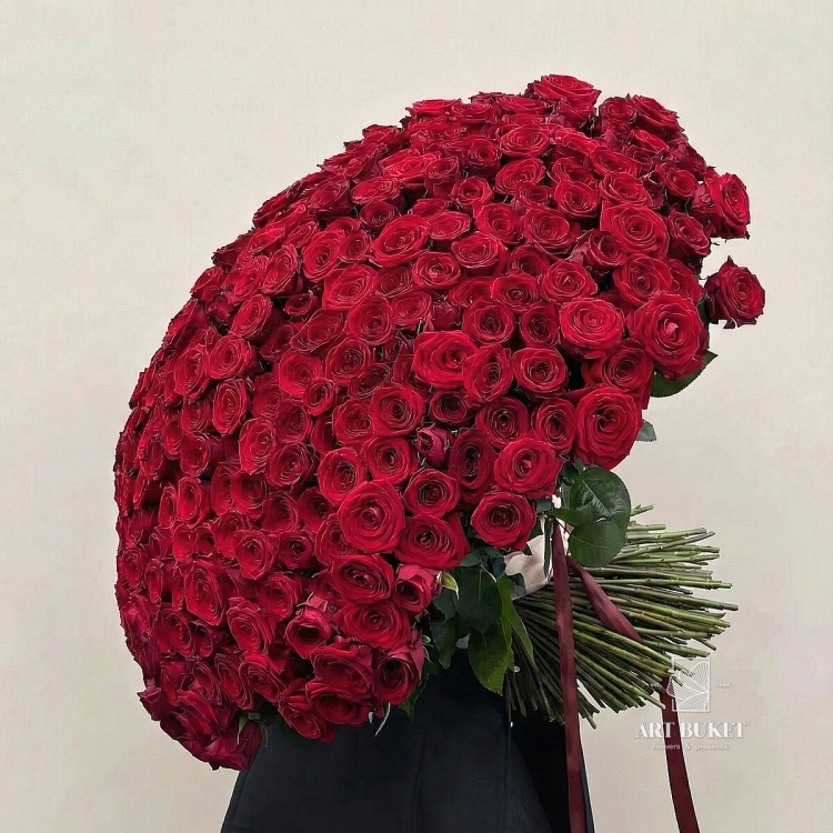 301 красная роза