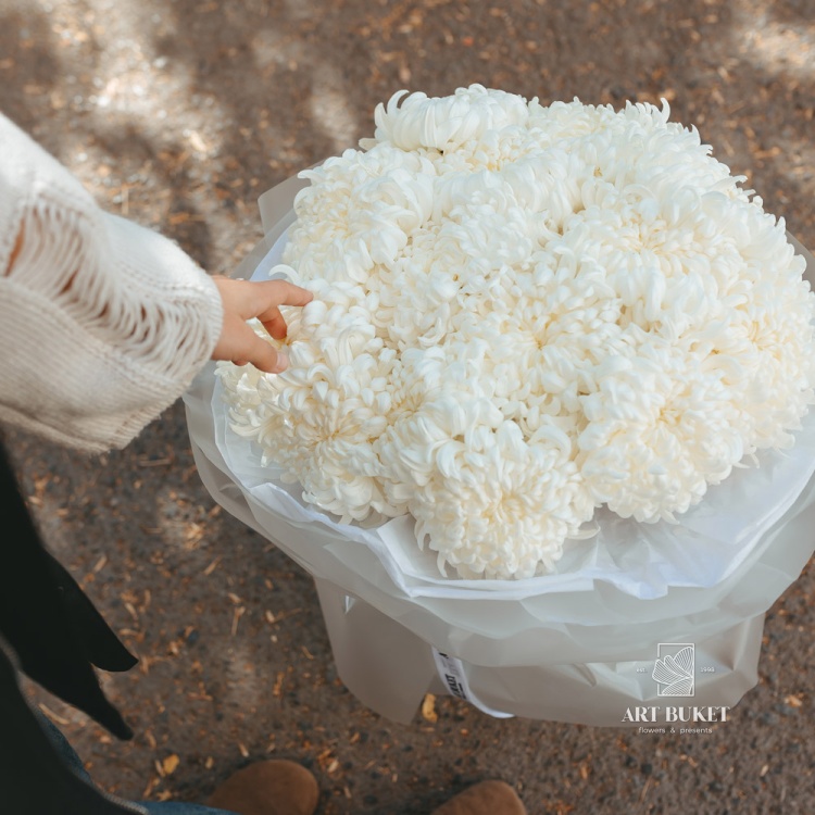 19 одноголовых хризантем микс