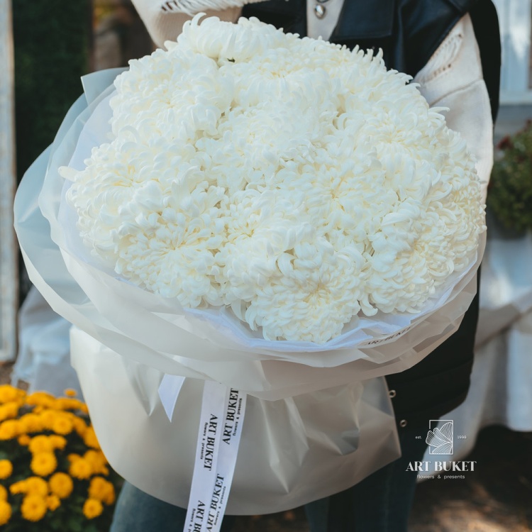 19 одноголовых хризантем микс