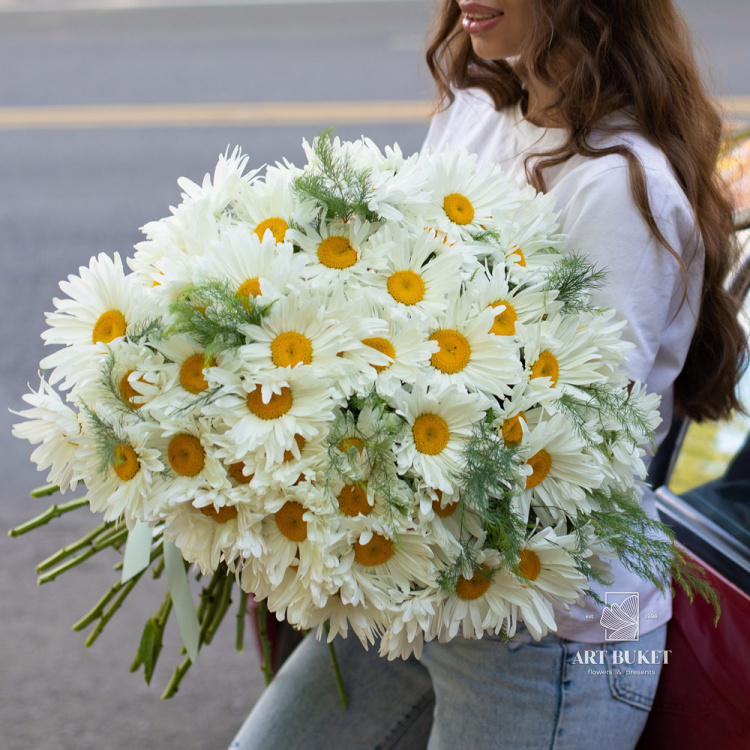 51 крупная ромашка