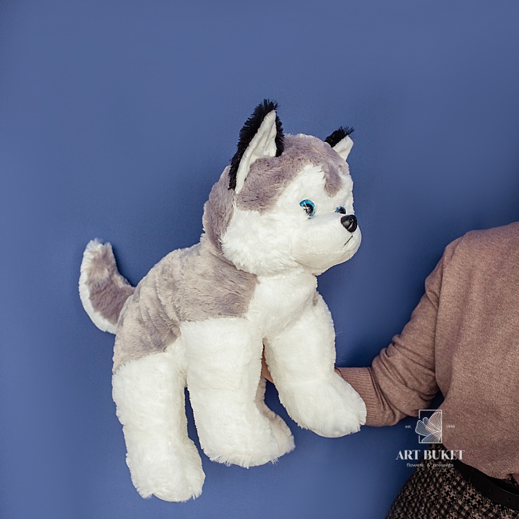 Хаски серый большой