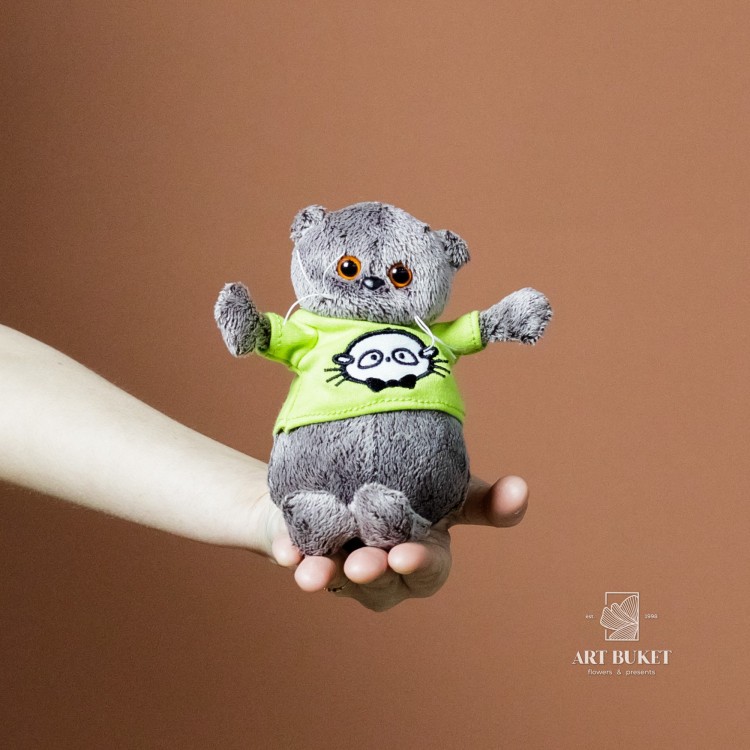 Кот Басик мини в разных свитерах