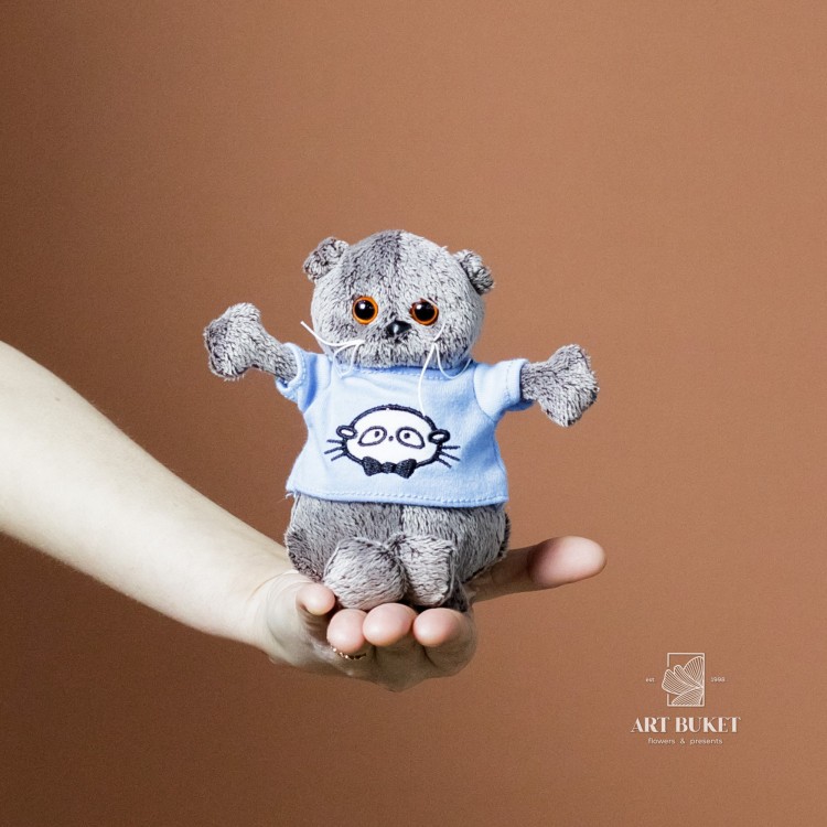 Кот Басик мини в разных свитерах