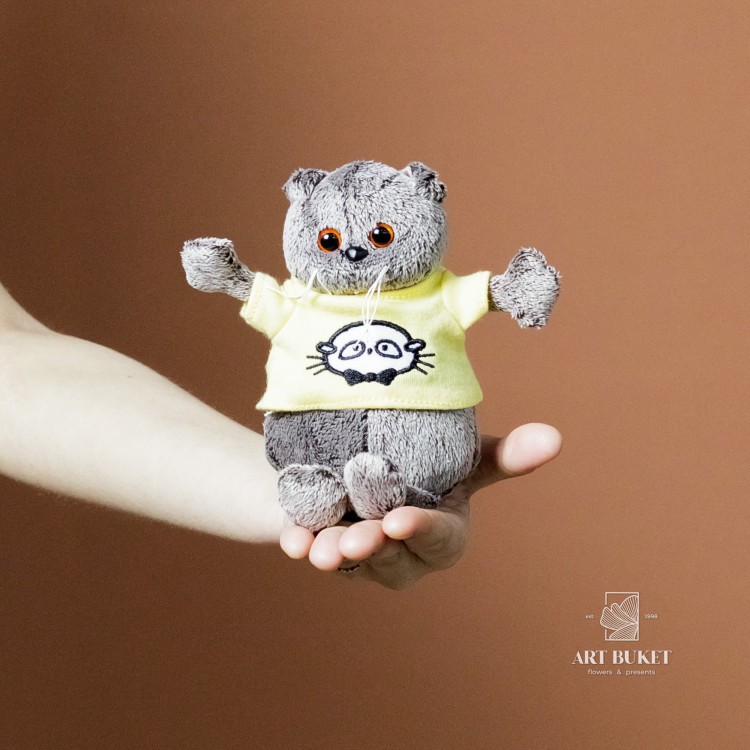 Кот Басик мини в разных свитерах