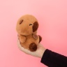 Игрушка сидячая 20 см микс с утяжелителем