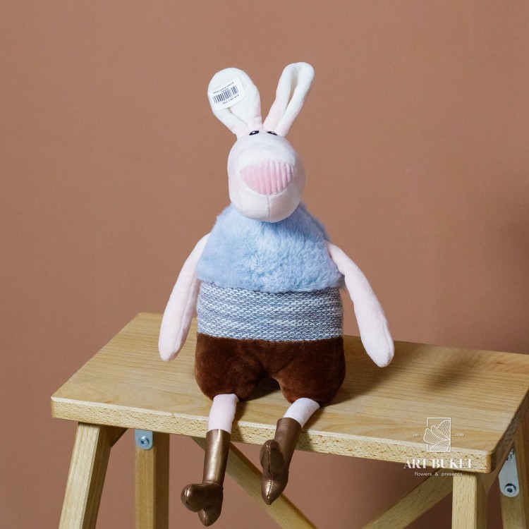 Зайка тонкие ножки в сапогах