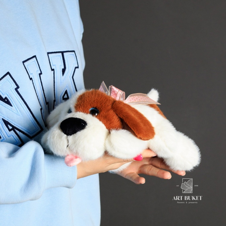 Собака маленькая лежачая бело-коричневая