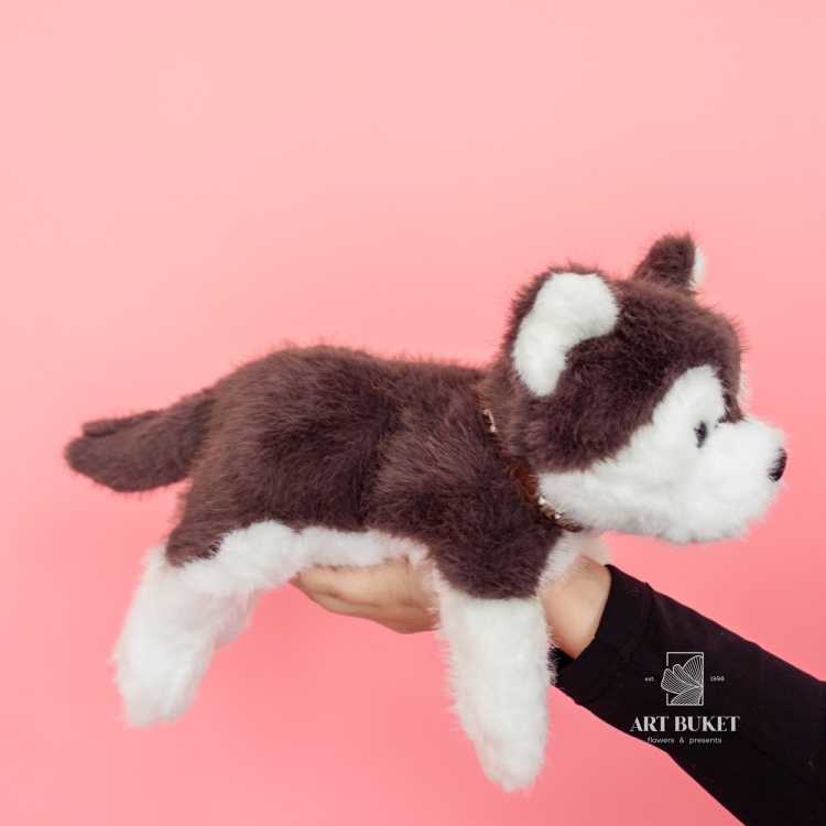 Хаски лежачий 35 см