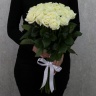 25 голландских роз