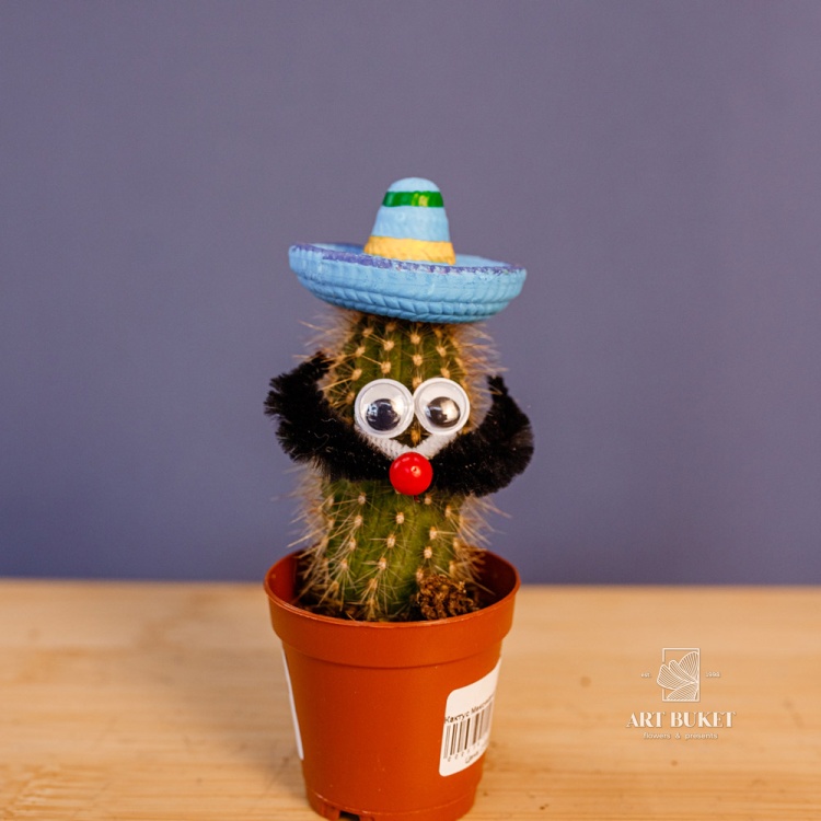 Кактус Мексикана 8 см D 5,5