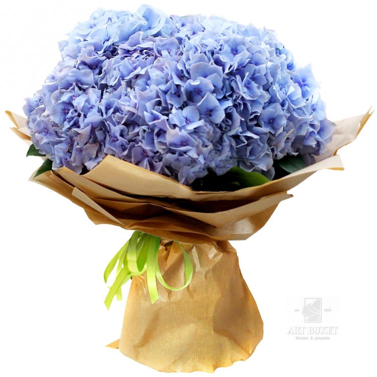 Букет гортензий