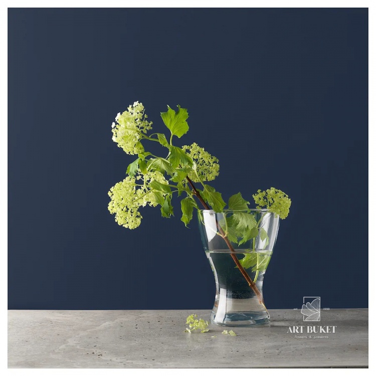 Ваза стеклянная 20см