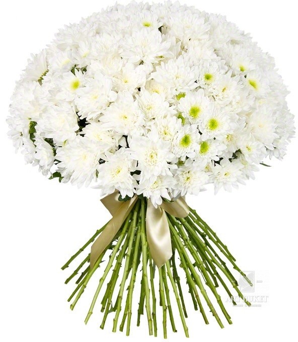 Снежная королева