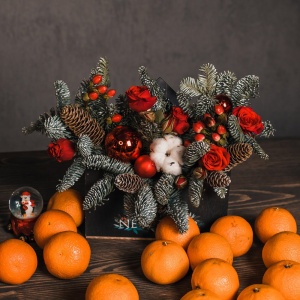 Северное сияние