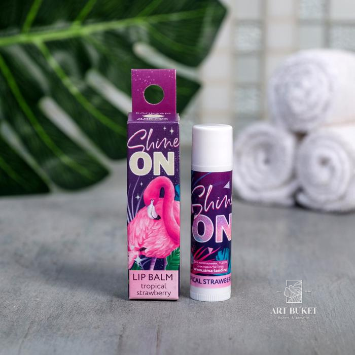 Бальзам для губ МИКС, 5 видов (цена за 1 шт)