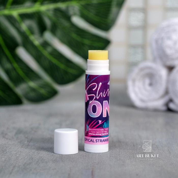 Бальзам для губ МИКС, 5 видов (цена за 1 шт)