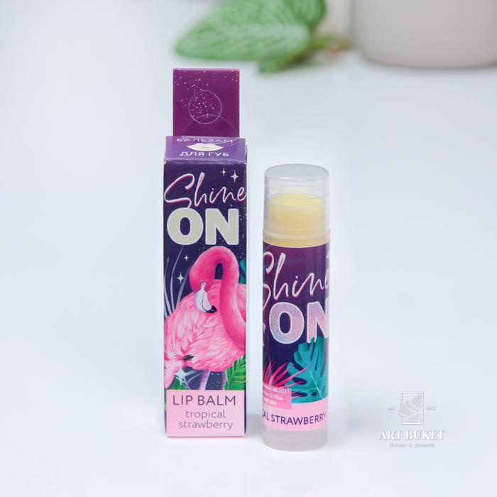 Бальзам для губ МИКС, 5 видов (цена за 1 шт)