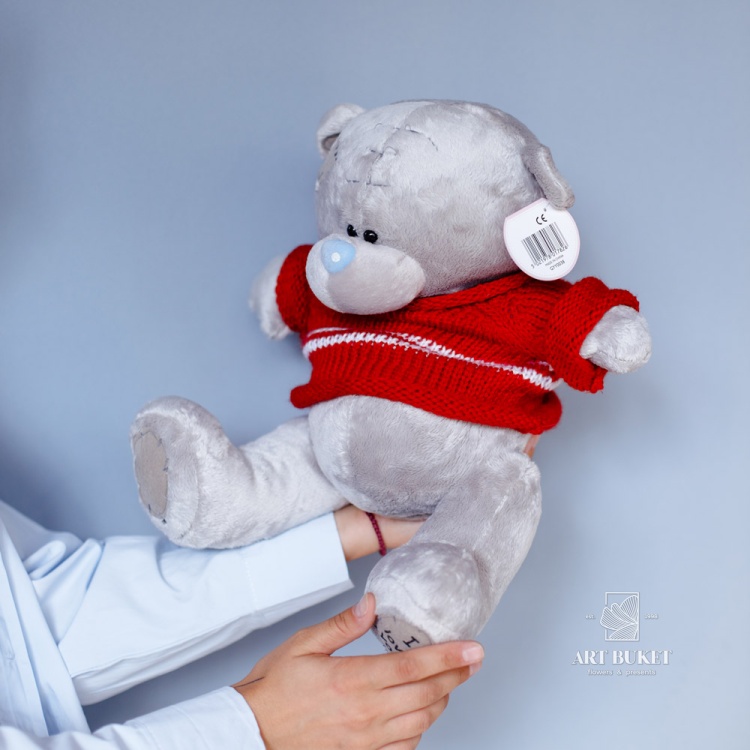 Медведь Тедди №5