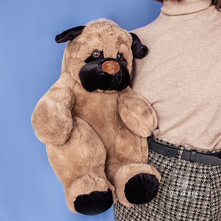 Собака бурая большая