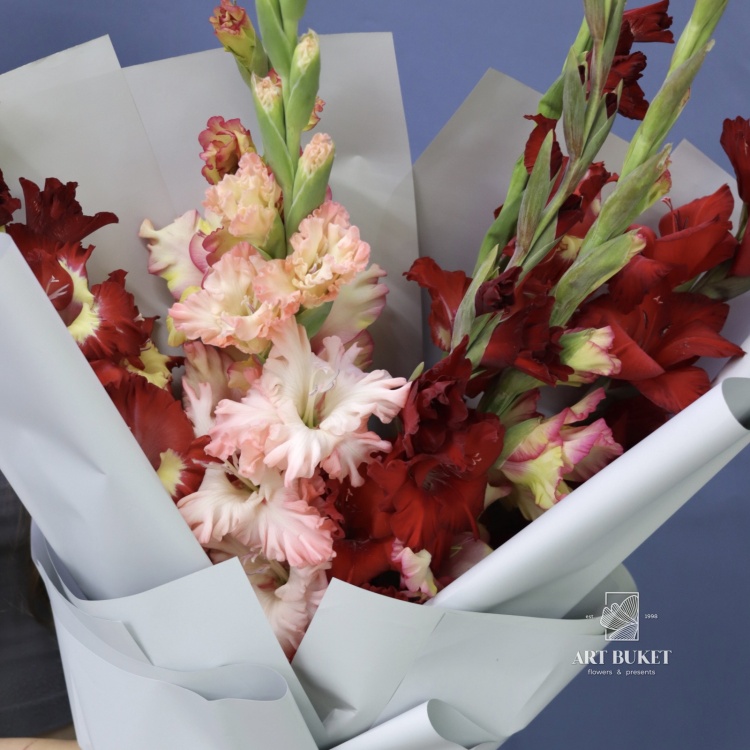 7 гладиолусов микс