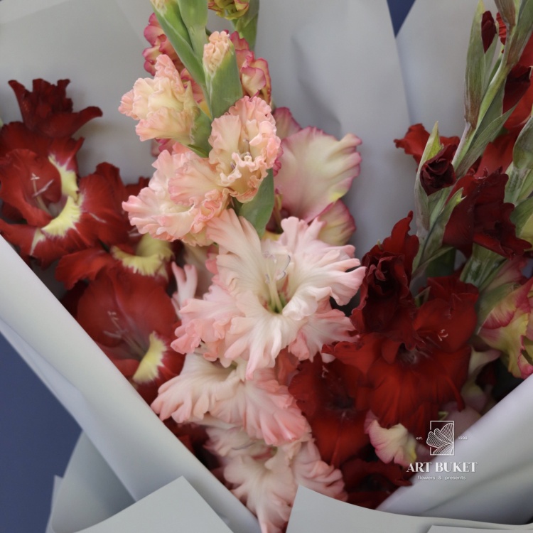 7 гладиолусов микс