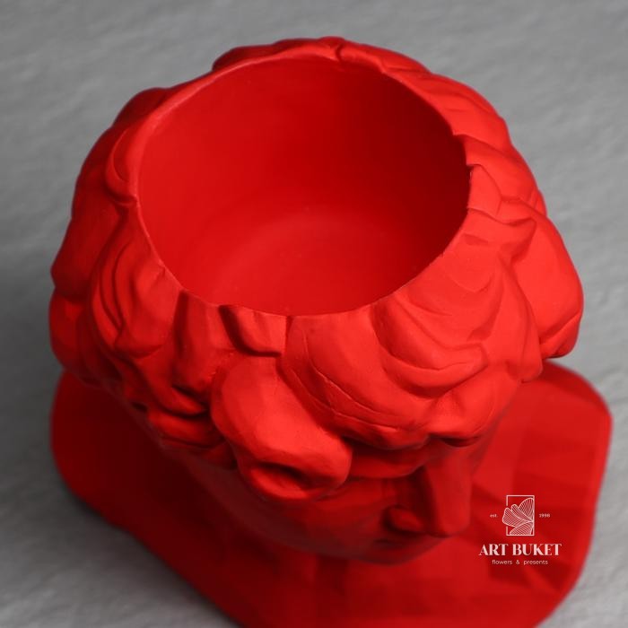 Органайзер-кашпо "Голова Давида" красный, 26 см