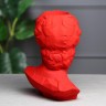 Органайзер-кашпо "Голова Давида" красный, 26 см
