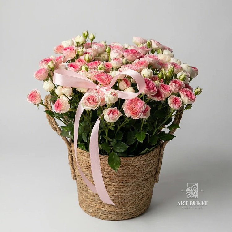 15 кустовых Midnight Magic в корзине