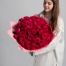 51 розовая роза "Пинк флойд"