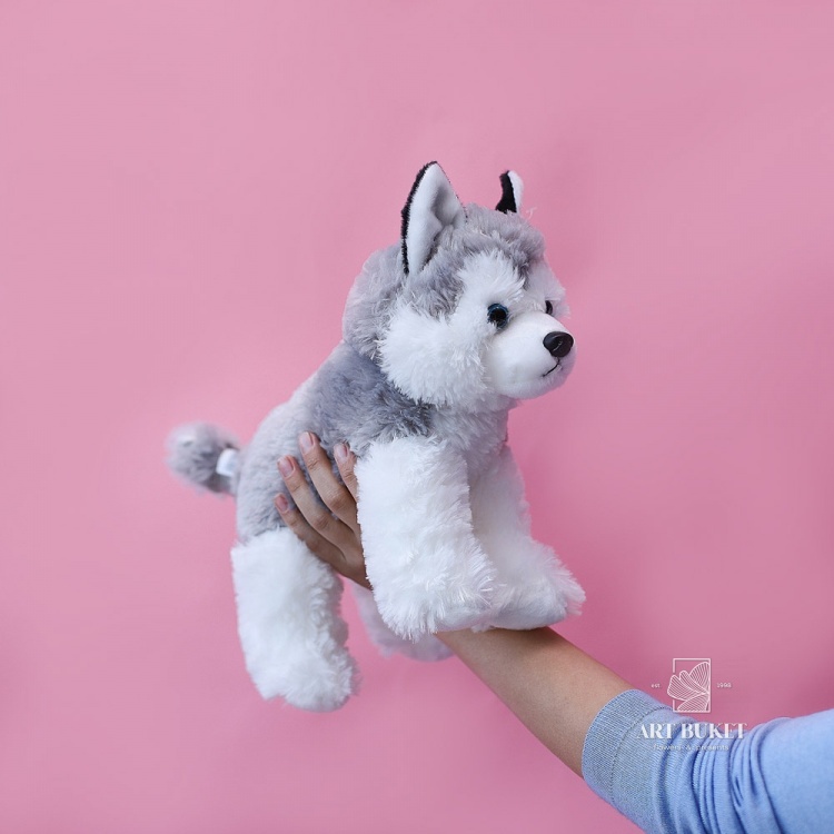 Хаски серый маленький