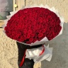 Букет из 201 розы