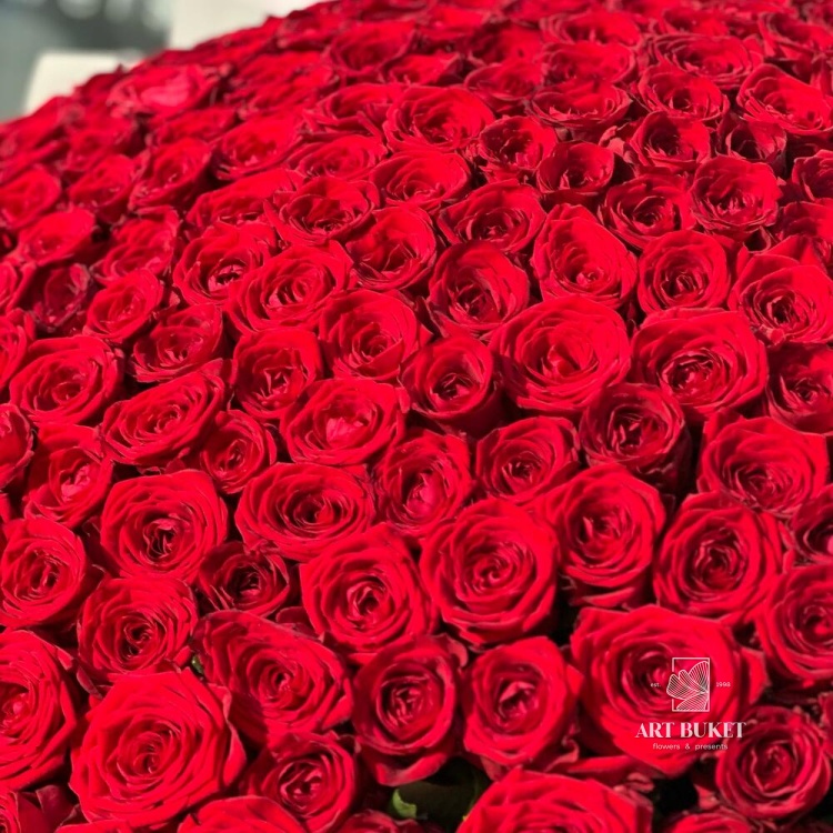 Букет из 201 розы