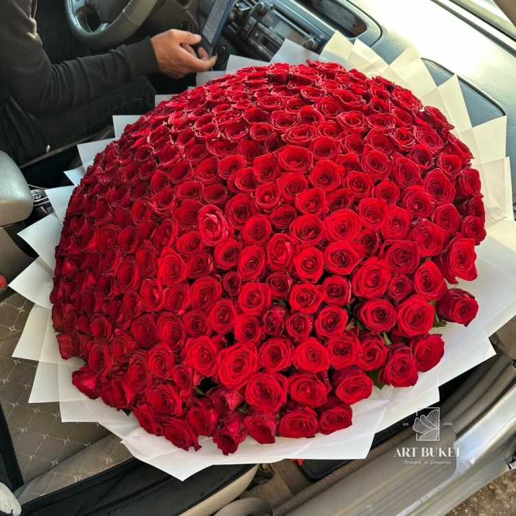 Букет из 201 розы