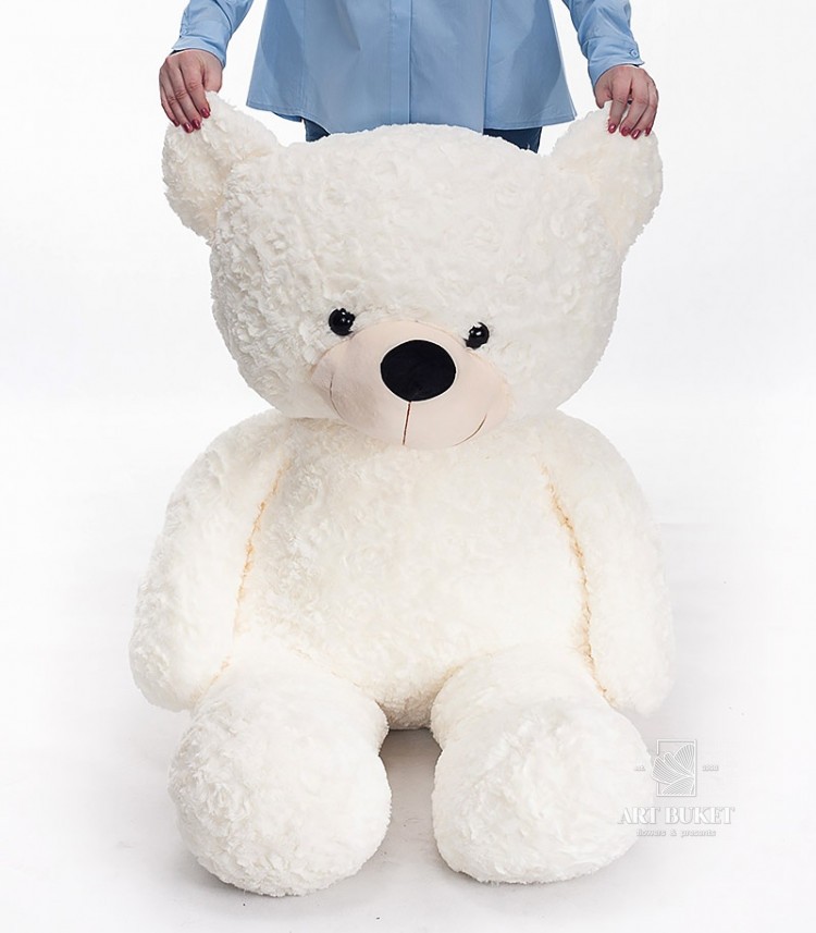 Большой кремовый медведь