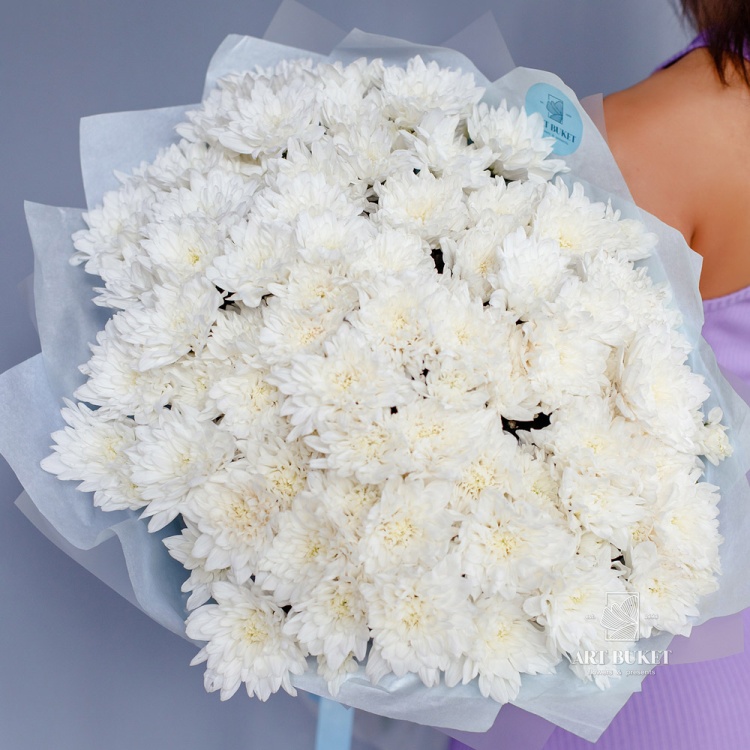 13 белых кустовых хризантем