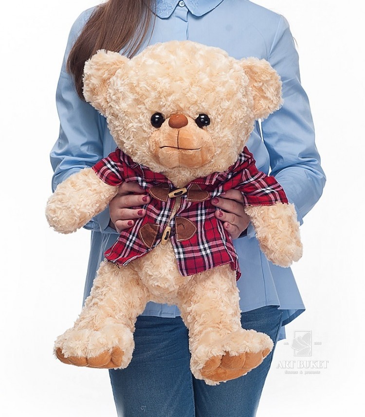 Мишка в клетчатой рубашке
