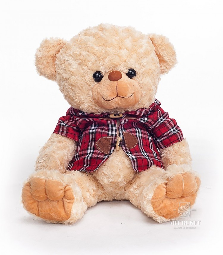 Мишка в клетчатой рубашке