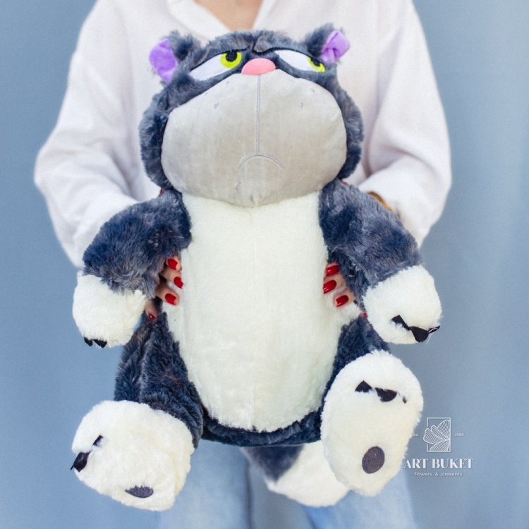 Кот злой 40 см с пледом