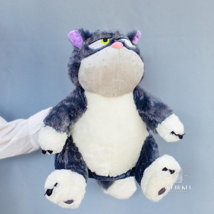 Кот злой 40 см с пледом