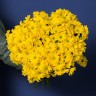 11 желтых ромашковых хризантем