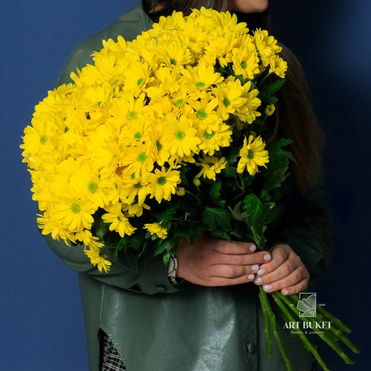 11 желтых ромашковых хризантем