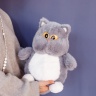 Кот глазастый серый 35 см
