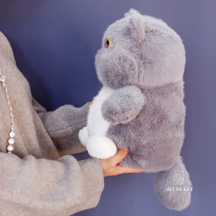 Кот глазастый серый 35 см