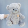 Медведь "Good vibes" 40 см серый