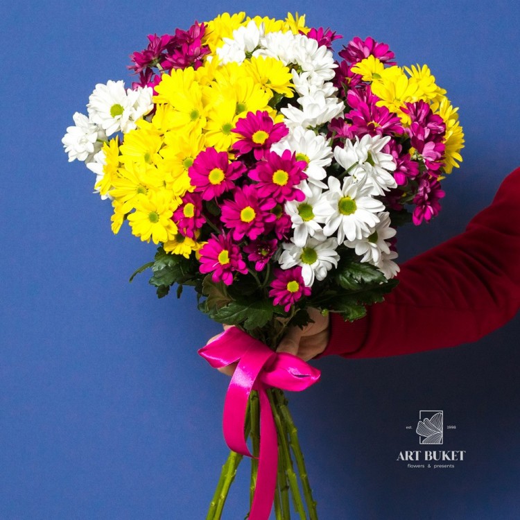 11 ромашковых хризантем микс