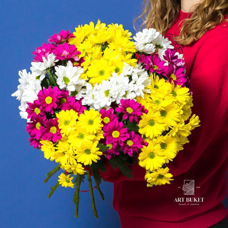 11 ромашковых хризантем микс